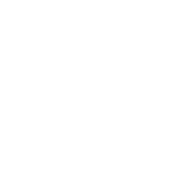 Stethoscope